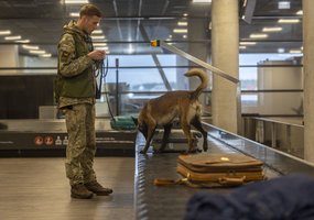 Pirmą kartą Inžinerijos pulke surengti tarpinstituciniai sprogmenų paieškos su tarnybiniais... - 7