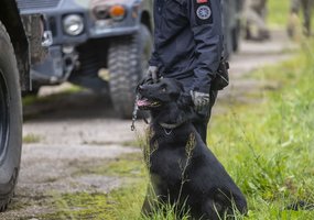 Pirmą kartą Inžinerijos pulke surengti tarpinstituciniai sprogmenų paieškos su tarnybiniais... - 2