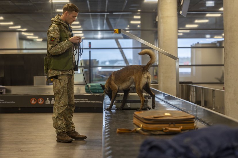 Pirmą kartą Inžinerijos pulke surengti tarpinstituciniai sprogmenų paieškos su tarnybiniais...