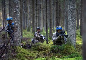 KASP kariai ir sąjungininkai: kaip pratybose „Lokys“ ruošiamasi realioms grėsmėms - 1